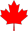 red maple leaf